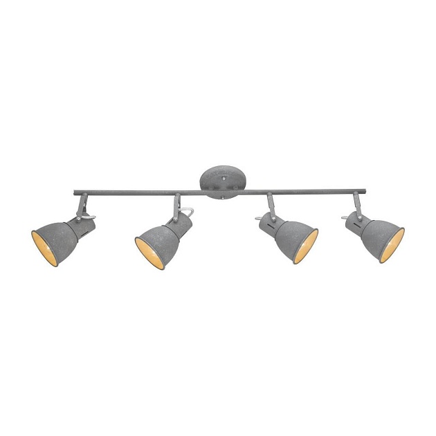 Спот Arte Lamp A1677PL-4GY Фото № 