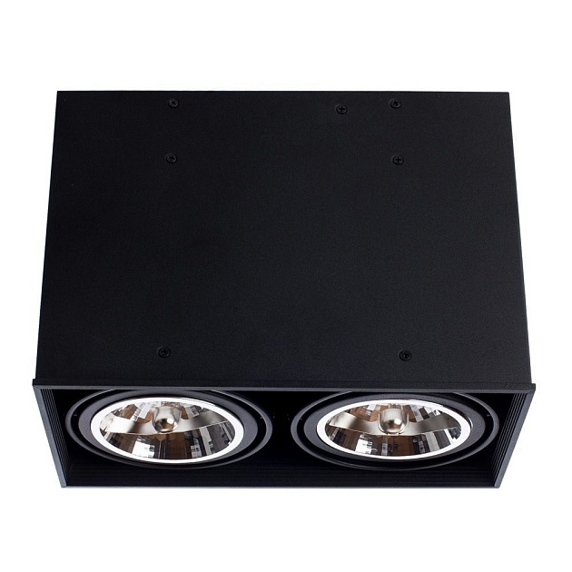 Потолочный светильник Arte Lamp Cardani A5936PL-2BK Фото № 4