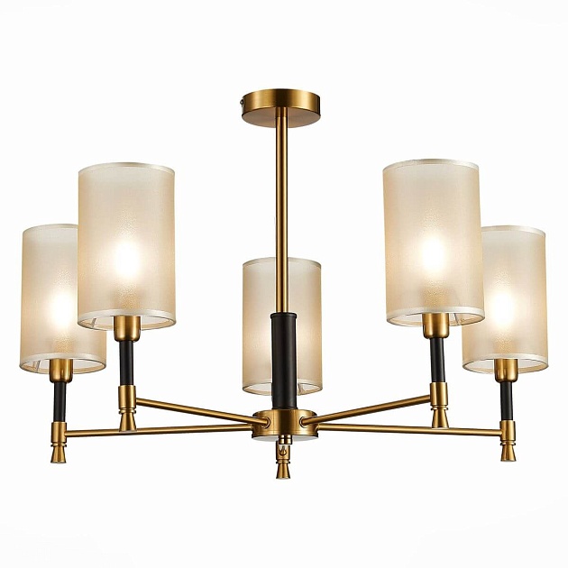 Потолочная люстра Evoluce Granze SLE300302-05 Фото № 