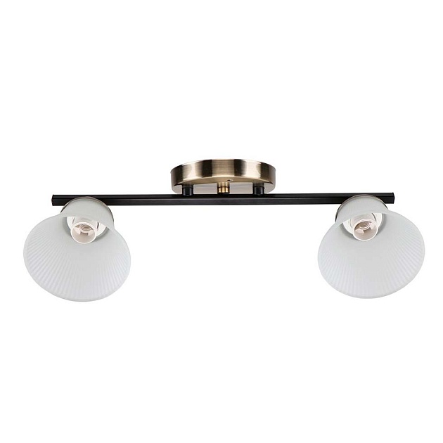 Спот ЭкономСвет 10165/2AB+BK WT Фото № 