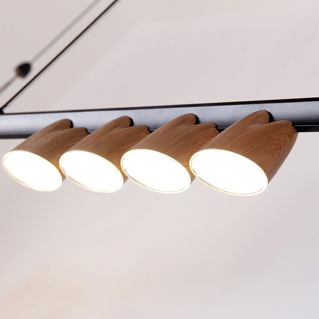 Подвесная светодиодная люстра Favourite Interline 4266-10P изображение 3 Подвесная светодиодная люстра Favourite Interline 4266-10P Фото № 3