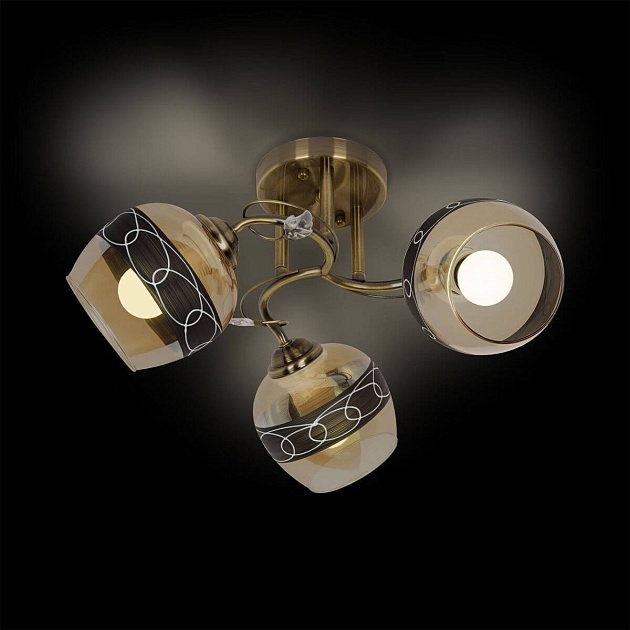 Потолочная люстра Ritter Napoli 52416 8 Фото № 