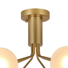 Потолочная люстра F-Promo Pax 2631-6U 2