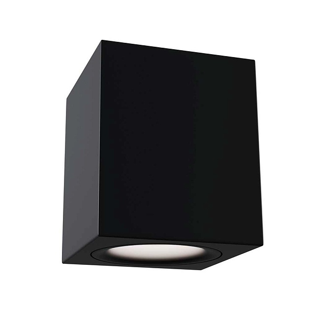 Потолочный светильник Maytoni Alfa C013CL-01B изображение Потолочный светильник Maytoni Alfa C013CL-01B Фото №