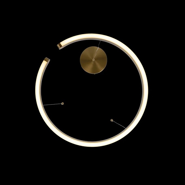 Подвесной светодиодный светильник Loft IT Ring 10013S изображение 2 Подвесной светодиодный светильник Loft IT Ring 10013S Фото № 2