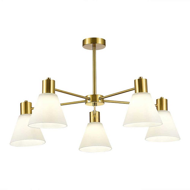 Потолочный светильник Evoluce ARKI SLE1561-302-05 Фото № 