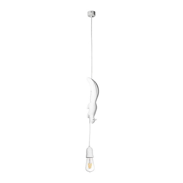 Подвесной светильник Loft IT Sherwood 10092 Фото № 