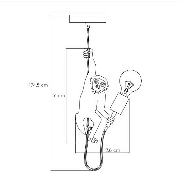 Подвесной светильник Lucide Extravaganza Chimp 10402/01/30 Фото № 2