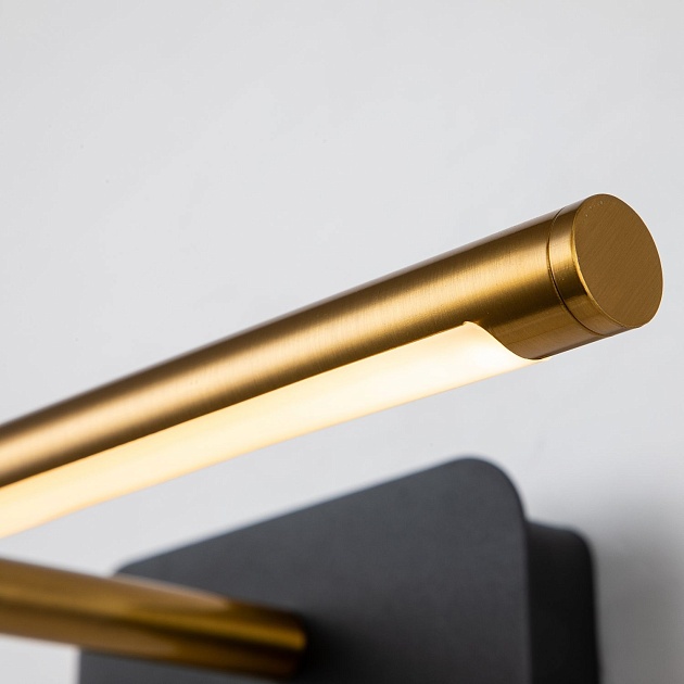 Подсветка для картин Favourite Insight 4016-1W Фото № 4