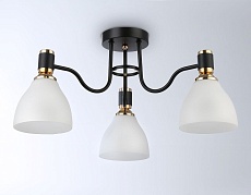 Потолочная люстра Ambrella light Traditional Modern TR303303 4