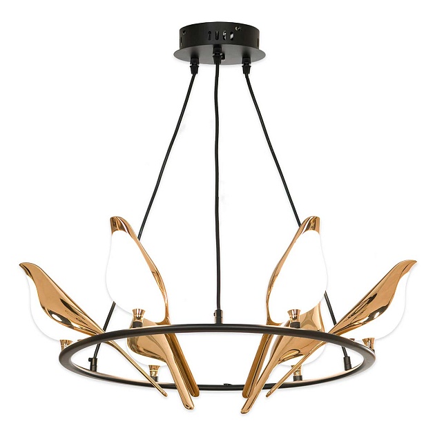 Подвесная люстра Lussole LOFT Jasper LSP-8641 Фото № 