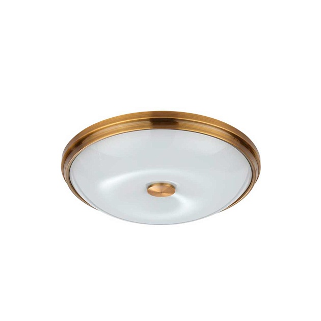 Потолочный светильник Odeon Light Walli Pelow 4956/4 Фото № 