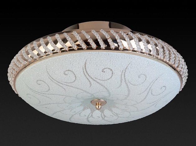 Накладной светильник Toplight Davina TL1481Y-04GC Фото № 2