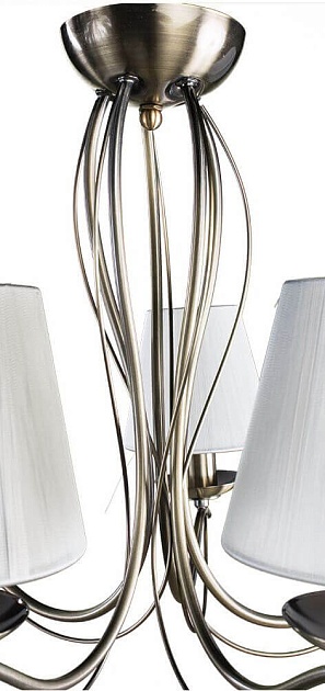 Подвесная люстра Arte Lamp Domain A9521LM-5AB Фото № 2