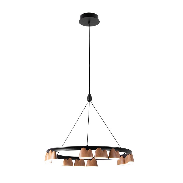 Подвесная светодиодная люстра Favourite Interline 4266-12P изображение Подвесная светодиодная люстра Favourite Interline 4266-12P Фото №