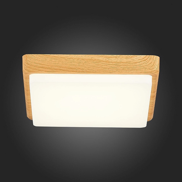 Потолочный светодиодный светильник Evoluce Taddio SLE200202-01 Фото № 4