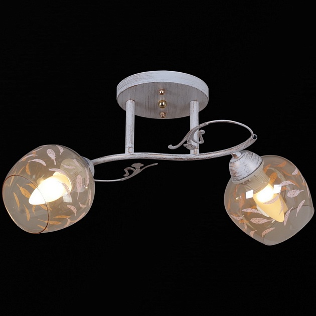 Потолочный светильник Reluce 12458-0.3-02 изображение Потолочный светильник Reluce 12458-0.3-02 Фото №