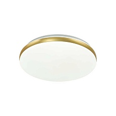 Настенно-потолочный светодиодный светильник Sonex Ringo 7626/CL 1