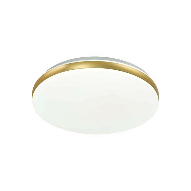 Настенно-потолочный светодиодный светильник Sonex Ringo 7626/CL Фото № 2