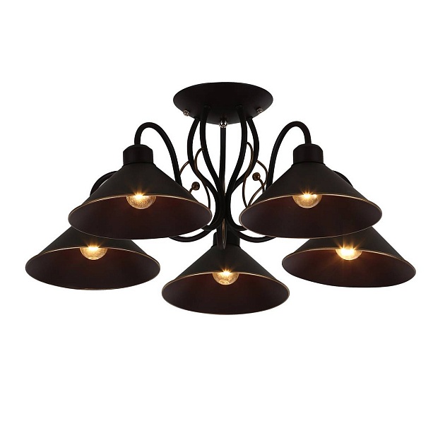 Потолочная люстра Evoluce Ciolla SLE120402-05 изображение Потолочная люстра Evoluce Ciolla SLE120402-05 Фото №