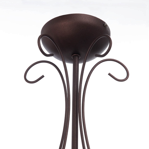 Потолочная люстра Vitaluce V1659/5PL изображение 3 Потолочная люстра Vitaluce V1659/5PL Фото № 3