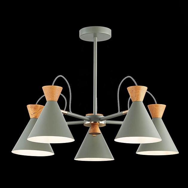 Потолочная люстра Evoluce Modica SLE125112-05 Фото № 4