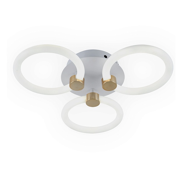 Потолочная светодиодная люстра Ritter Ottimo 51611 2 Фото № 