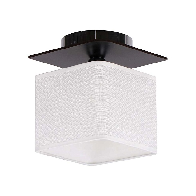 Потолочный светильник ЭкономСвет 24088/1BK WT Фото № 