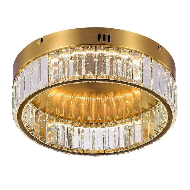 Потолочный светодиодный светильник MyFar Irina MR2010-1CL изображение Потолочный светодиодный светильник MyFar Irina MR2010-1CL Фото №