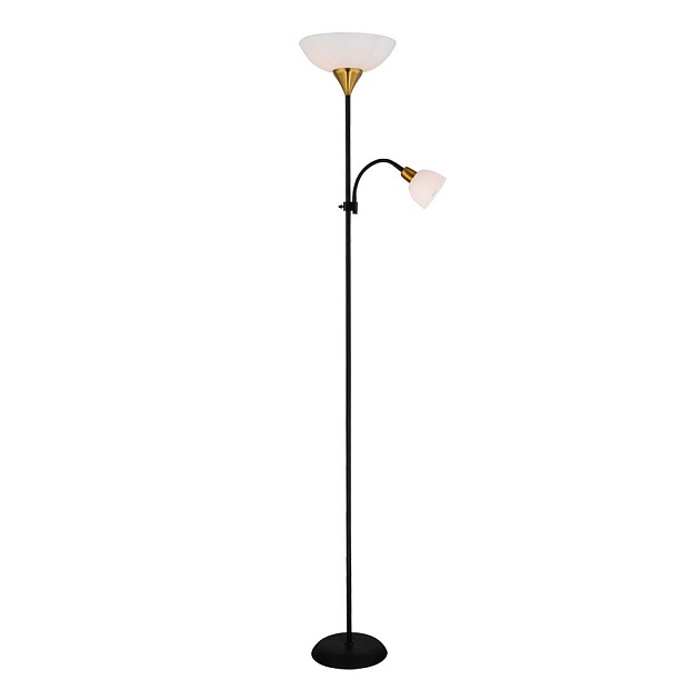 Торшер Arte Lamp Duetto A9569PN-2BK Фото № 