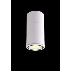 Уличный светильник Crystal Lux CLT 138C180 WH 2