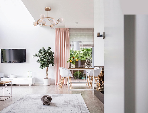 Подвесная люстра Lumion Moderni Misty 4466/8C изображение 5 Подвесная люстра Lumion Moderni Misty 4466/8C Фото № 5