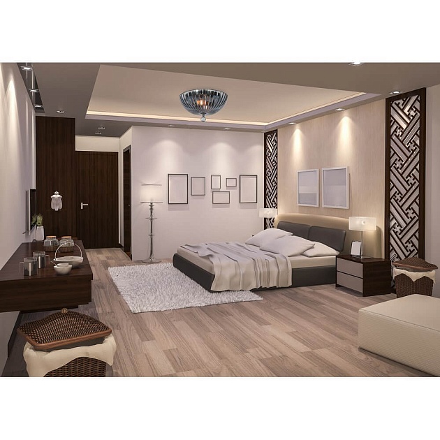 Потолочный светильник Divinare Lianto 4001/03 PL-2 Фото № 5