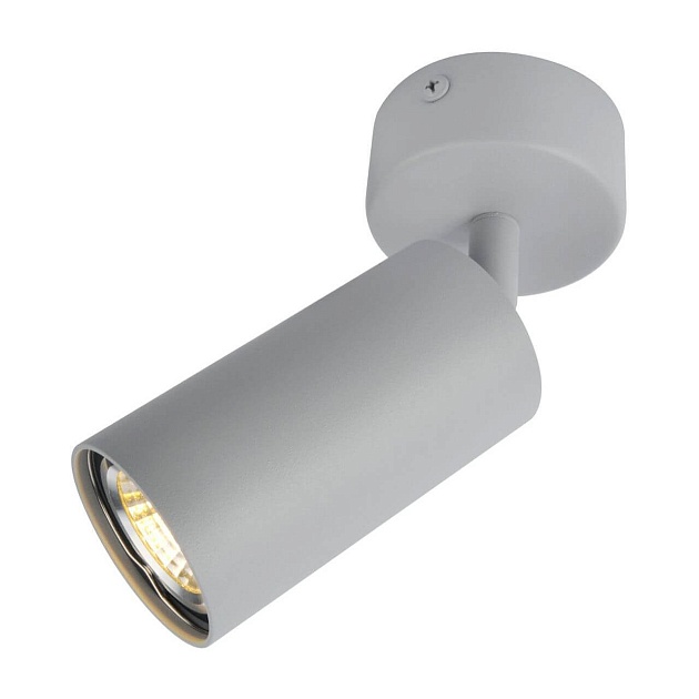 Спот Arte Lamp A3216PL-1GY Фото № 