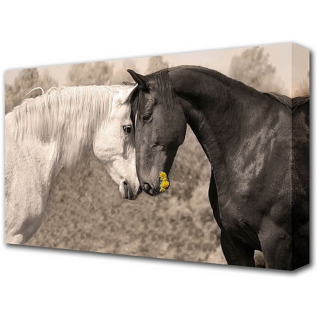 Холст Toplight 60х100х3см TL-H1050 Фото № 