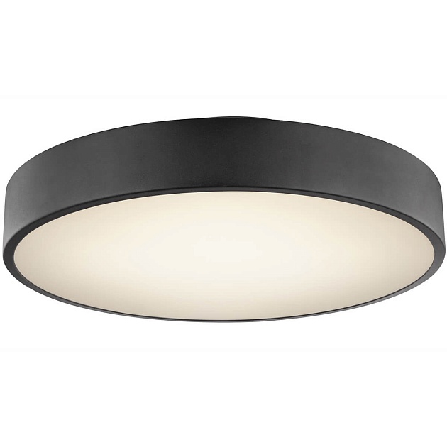 Потолочный светодиодный светильник Globo Wiss 41744-24S Фото № 