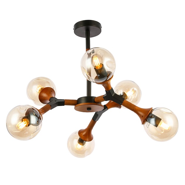 Потолочная люстра Evoluce Raquel SLE109402-06 Фото № 