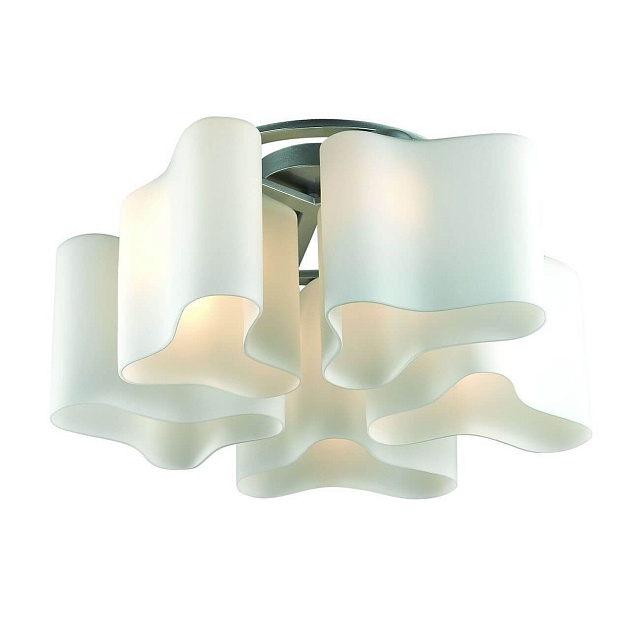 Потолочная люстра ST Luce Onde 2 SL118.502.05 изображение Потолочная люстра ST Luce Onde 2 SL118.502.05 Фото №