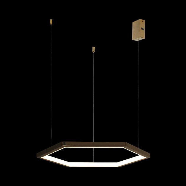 Подвесной светодиодный светильник Loft IT Ring 10016S Фото № 2