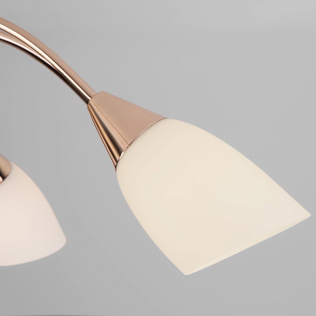 Потолочная люстра Eurosvet 30149/8 золото изображение 4 Потолочная люстра Eurosvet 30149/8 золото Фото № 4