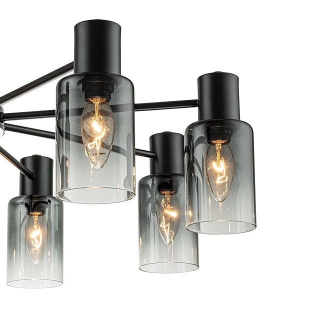 Потолочная люстра Escada Diversity 2120/8P Black изображение 4 Потолочная люстра Escada Diversity 2120/8P Black Фото № 4