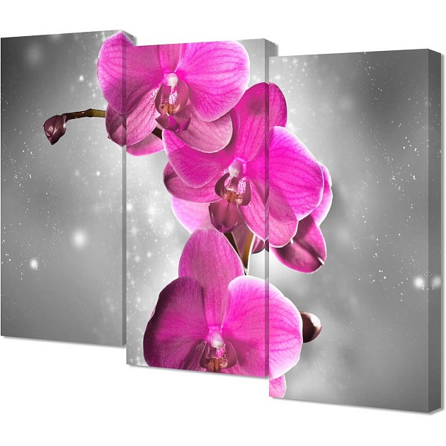 Модульная картина Toplight 100х150х3см TL-M3076 изображение Модульная картина Toplight 100х150х3см TL-M3076 Фото №