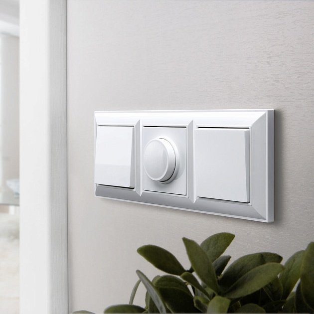 Выключатель одноклавишный Werkel белый W1110001 4690389154973 изображение 6 Выключатель одноклавишный Werkel белый W1110001 4690389154973 Фото № 6