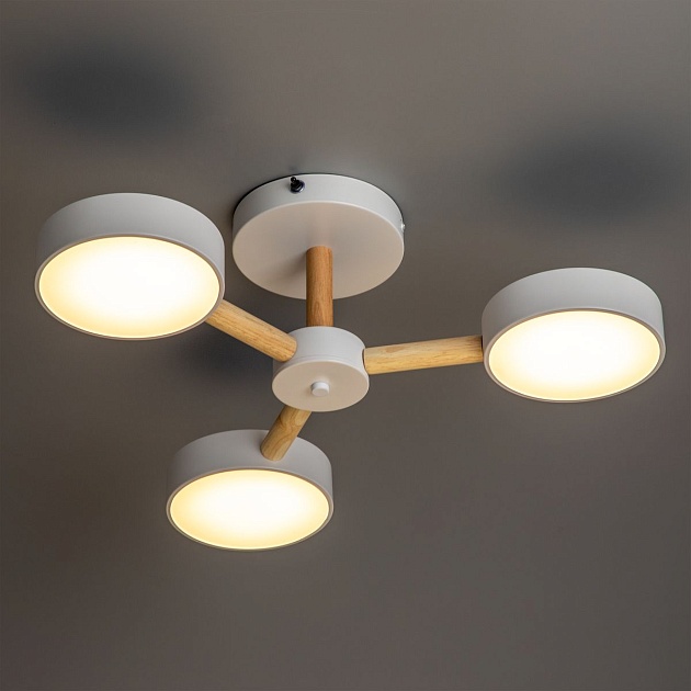 Потолочная светодиодная люстра Ritter Scandia 51589 4 изображение 5 Потолочная светодиодная люстра Ritter Scandia 51589 4 Фото № 5