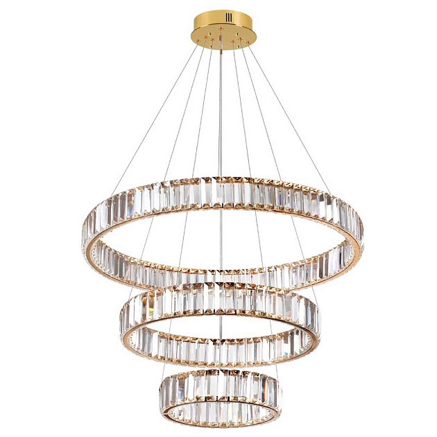 Подвесной светодиодный светильник Odeon Light Vekia 5015/88L Фото № 