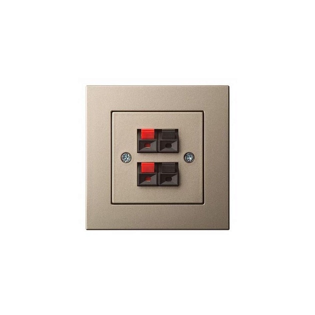 Аудиорозетка двойная Liregus Epsilon шампань 28-3241 изображение Аудиорозетка двойная Liregus Epsilon шампань 28-3241 Фото №