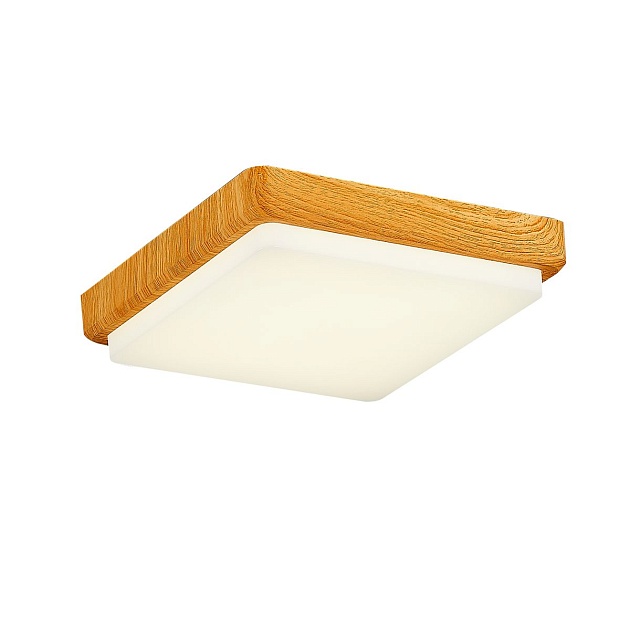 Потолочный светодиодный светильник Evoluce Taddio SLE200202-01 Фото № 3