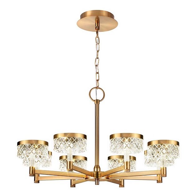 Подвесная люстра Odeon Light FIVRE 5032/48L Фото № 2