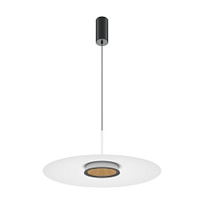 Подвесной светодиодный светильник Maytoni El MOD041PL-L15W3K1