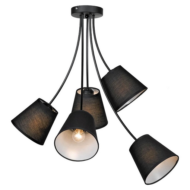 Подвесная люстра Lussole Lgo Lafayette GRLSP-8266 изображение Подвесная люстра Lussole Lgo Lafayette GRLSP-8266 Фото №